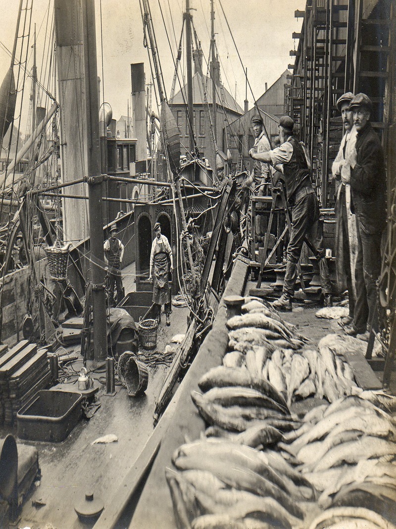 A picture of a dock in Boston, with the docking bay having fish on the floor